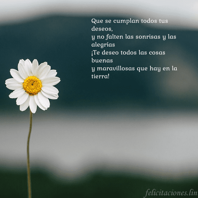 Tarjeta electrónica con margarita Que se cumplan todos tus deseos,
y no falten las s Tarjeta electrónica con margarita