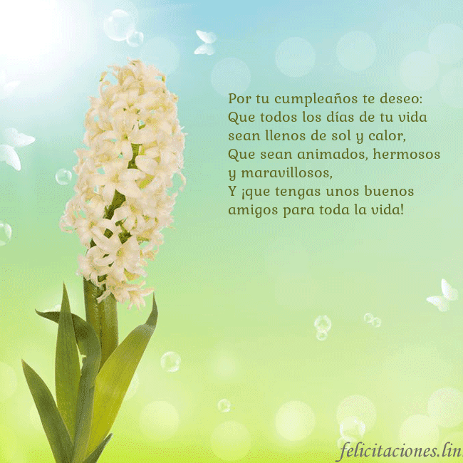 Tarjeta con jacinto Por tu cumpleaños te deseo:
Que todos los días de Tarjeta con jacinto