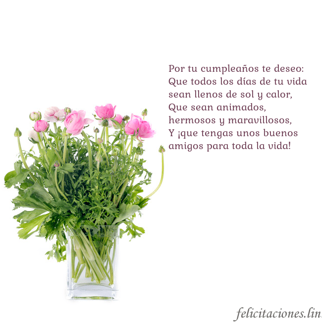 Tarjeta con flores en un jarrón Por tu cumpleaños te deseo:
Que todos los días de Tarjeta con flores en un jarrón