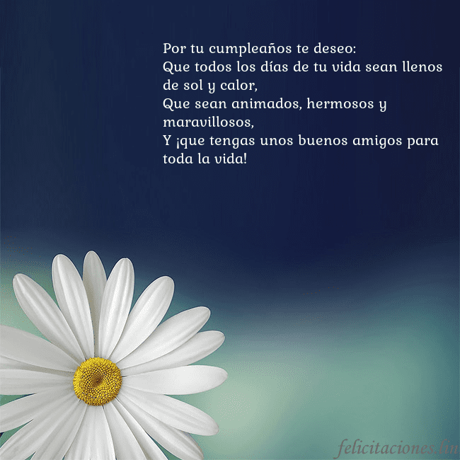 Postal con una gran margarita