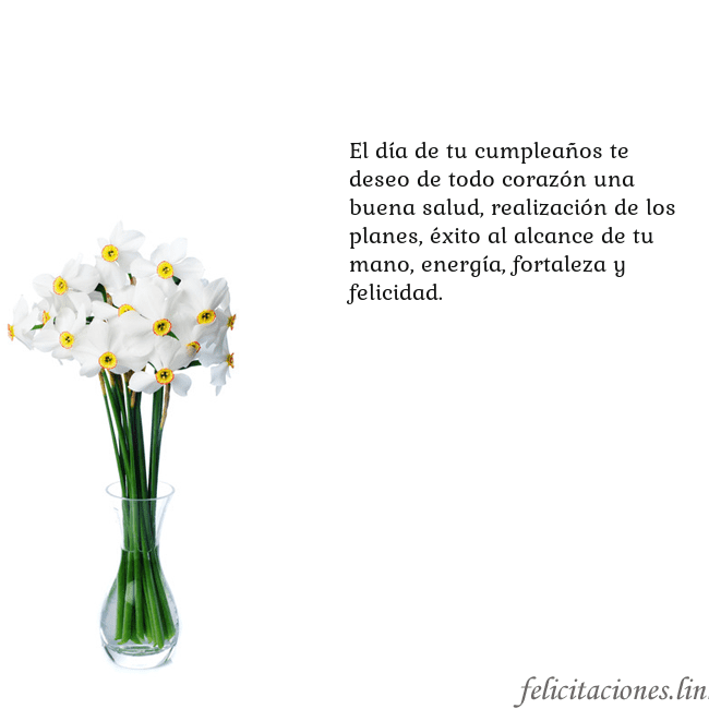 Tarjeta con narcisos El día de tu cumpleaños te deseo de todo corazón u Tarjeta con narcisos