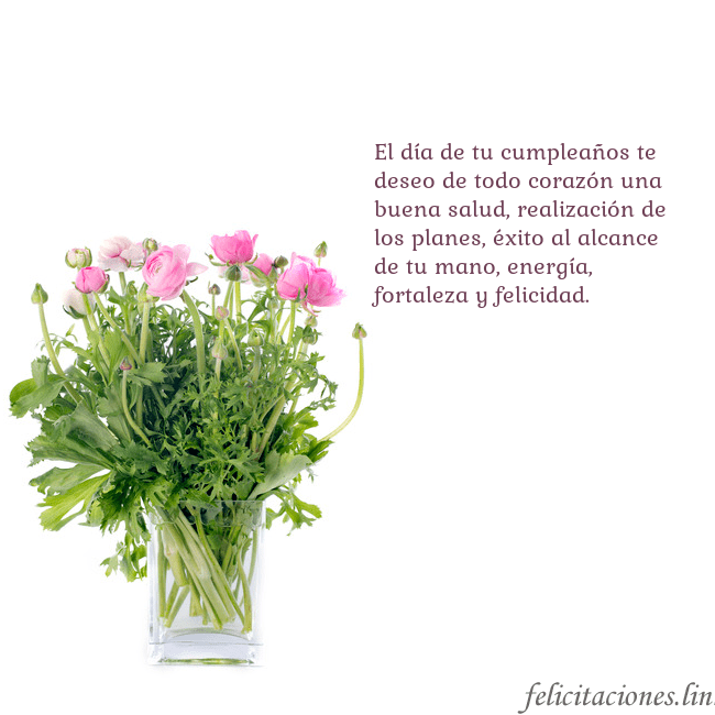Tarjeta con flores en un jarrón El día de tu cumpleaños te deseo de todo corazón u Tarjeta con flores en un jarrón