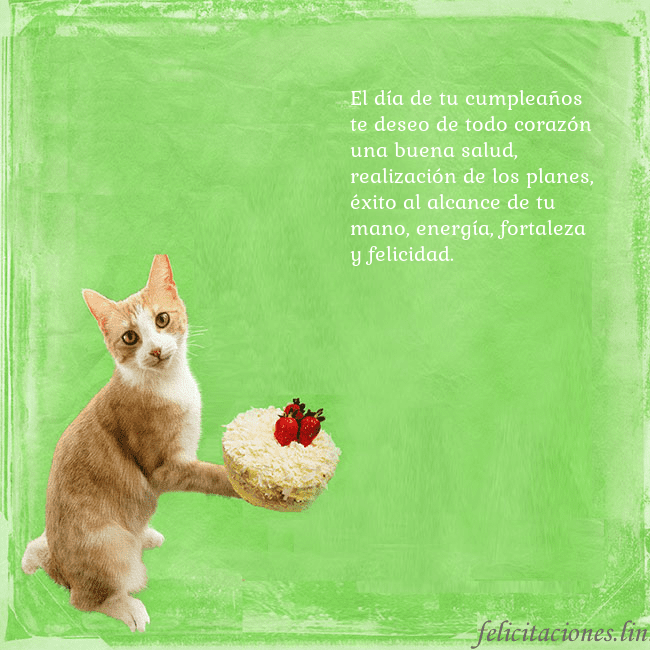 Tarjeta de cumpleaños con gato y pastel de cumpleaños El día de tu cumpleaños te deseo de todo corazón u Tarjeta de cumpleaños con gato y pastel de cumpleaños