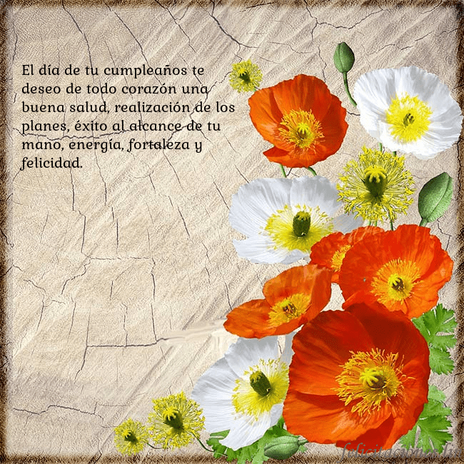 Tarjeta de cumpleaños con amapolas