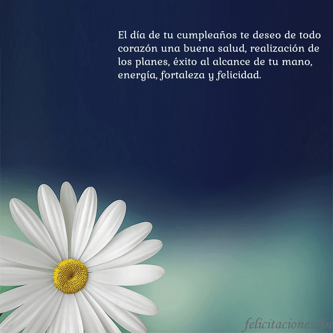 Postal con una gran margarita