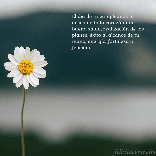 Tarjeta electrónica con margarita El día de tu cumpleaños te deseo de todo corazón u Tarjeta electrónica con margarita