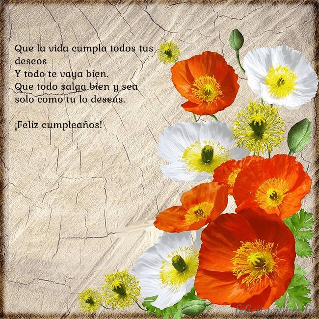 Tarjeta de cumpleaños con amapolas Que la vida cumpla todos tus deseos
Y todo te vaya Tarjeta de cumpleaños con amapolas