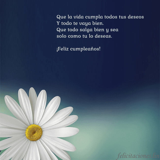 Postal con una gran margarita Que la vida cumpla todos tus deseos
Y todo te vaya Postal con una gran margarita