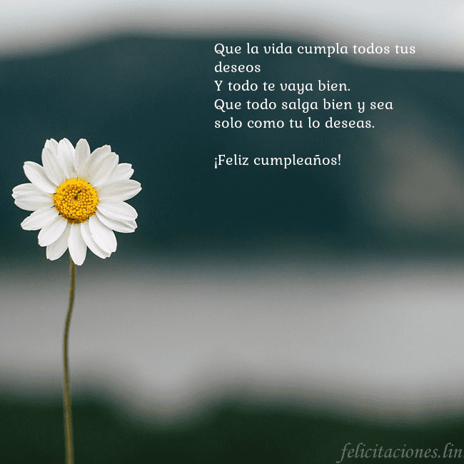Tarjeta electrónica con margarita Que la vida cumpla todos tus deseos
Y todo te vaya Tarjeta electrónica con margarita