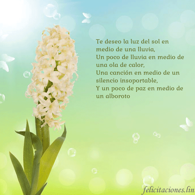 Tarjeta con jacinto Te deseo la luz del sol en medio de una lluvia,
Un Tarjeta con jacinto