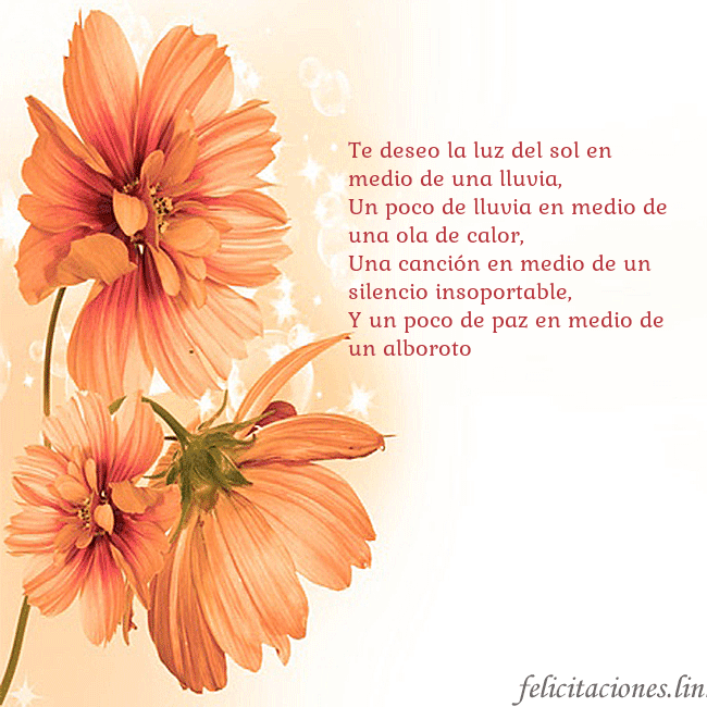 Tarjeta con flores naranjas Te deseo la luz del sol en medio de una lluvia,
Un Tarjeta con flores naranjas