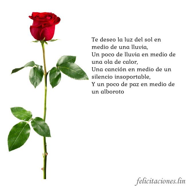 Tarjeta con una rosa roja Te deseo la luz del sol en medio de una lluvia,
Un Tarjeta con una rosa roja