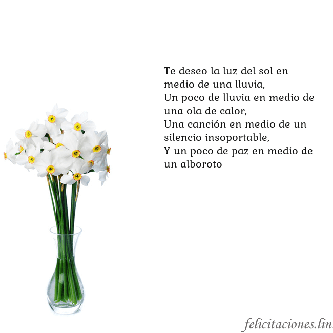 Tarjeta con narcisos Te deseo la luz del sol en medio de una lluvia,
Un Tarjeta con narcisos