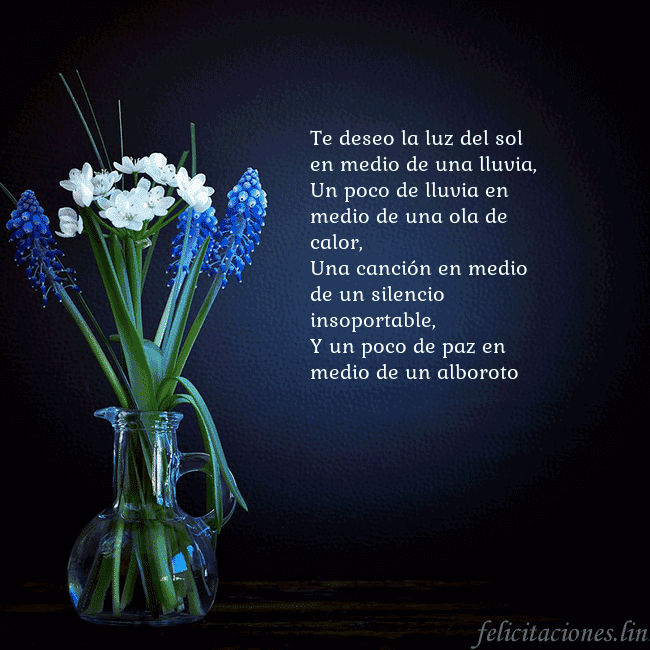 Tarjeta de cumpleaños con flores azules en un jarrón Te deseo la luz del sol en medio de una lluvia,
Un Tarjeta de cumpleaños con flores azules en un jarrón