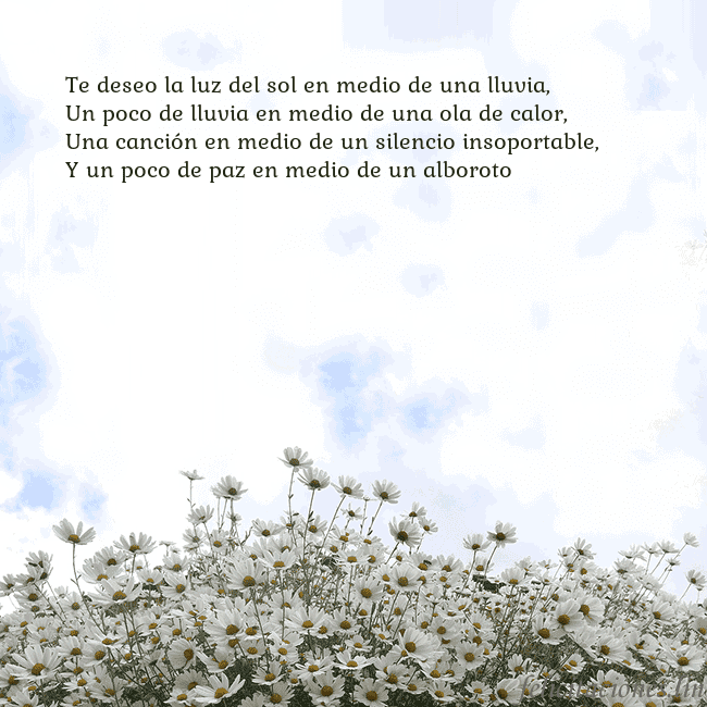Tarjeta de cumpleaños con margaritas Te deseo la luz del sol en medio de una lluvia,
Un Tarjeta de cumpleaños con margaritas