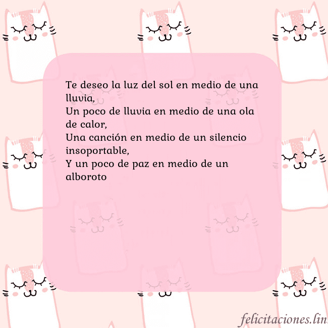 Tarjeta de cumpleaños rosa con gatos divertidos Te deseo la luz del sol en medio de una lluvia,
Un Tarjeta de cumpleaños rosa con gatos divertidos