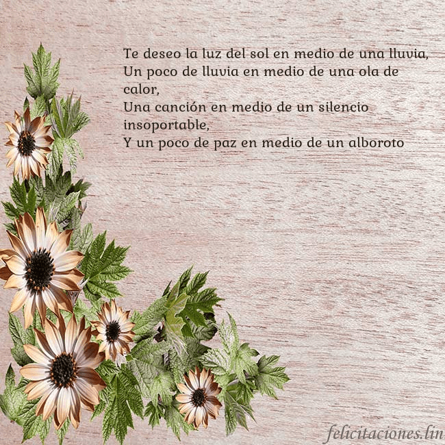 Tarjeta de cumpleaños con flores marrones