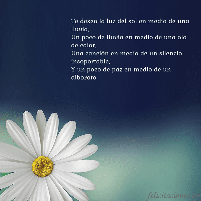 Postal con una gran margarita Te deseo la luz del sol en medio de una lluvia,
Un Postal con una gran margarita
