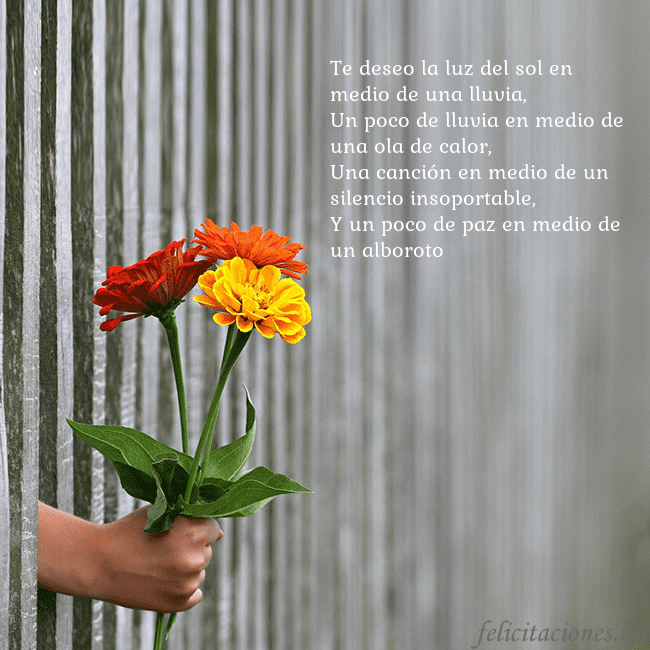 Tarjeta electrónica con ramo de flores Te deseo la luz del sol en medio de una lluvia,
Un Tarjeta electrónica con ramo de flores