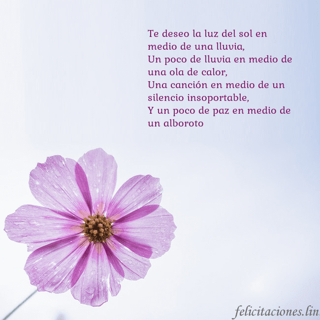 Tarjeta electrónica con flor morada Te deseo la luz del sol en medio de una lluvia,
Un Tarjeta electrónica con flor morada