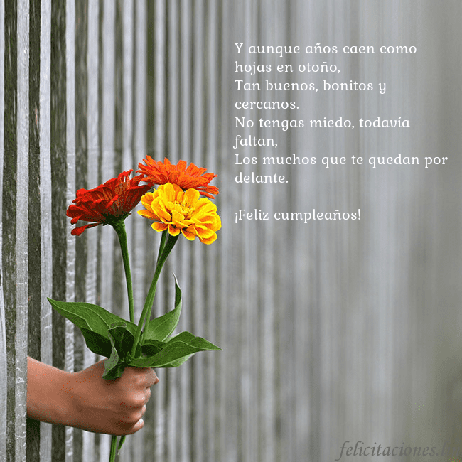 Tarjeta electrónica con ramo de flores Y aunque años caen como hojas en otoño,
Tan buenos Tarjeta electrónica con ramo de flores