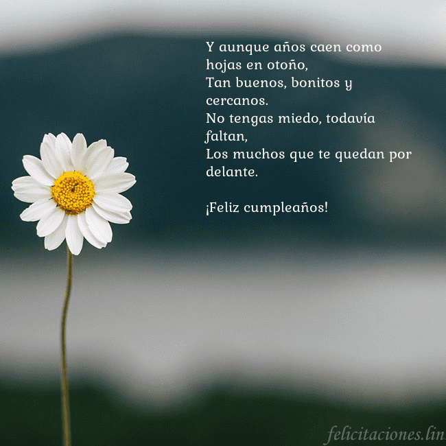 Tarjeta electrónica con margarita Y aunque años caen como hojas en otoño,
Tan buenos Tarjeta electrónica con margarita