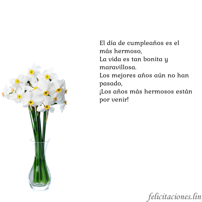 Tarjeta con narcisos El día de cumpleaños es el más hermoso,
La vida es Tarjeta con narcisos