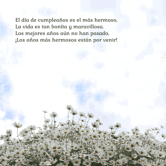 Tarjeta de cumpleaños con margaritas El día de cumpleaños es el más hermoso,
La vida es Tarjeta de cumpleaños con margaritas