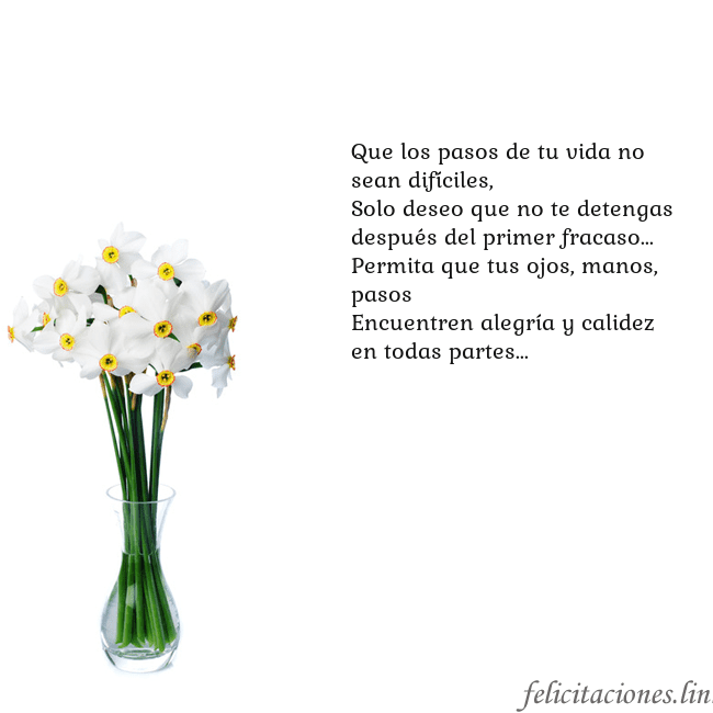 Tarjeta con narcisos Que los pasos de tu vida no sean difíciles,
Solo d Tarjeta con narcisos