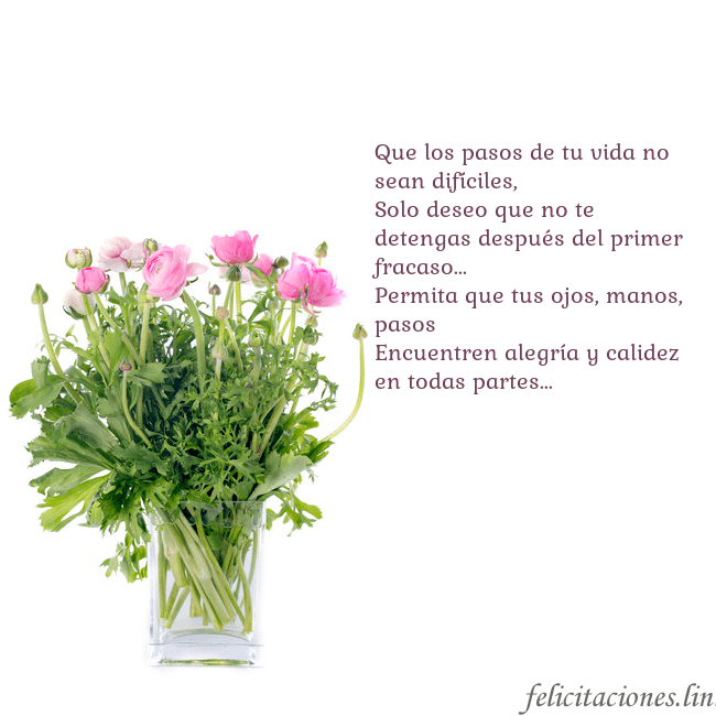 Tarjeta con flores en un jarrón Que los pasos de tu vida no sean difíciles,
Solo d Tarjeta con flores en un jarrón