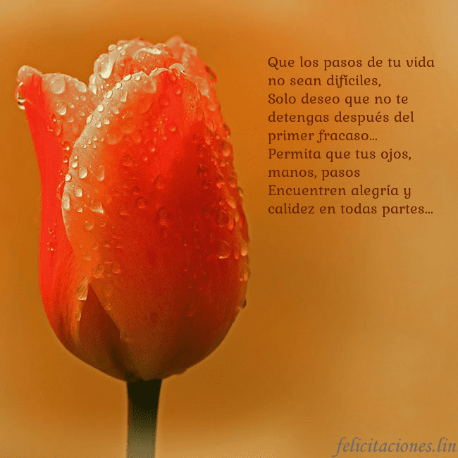 Tarjeta de cumpleaños con tulipán rojo Que los pasos de tu vida no sean difíciles,
Solo d Tarjeta de cumpleaños con tulipán rojo