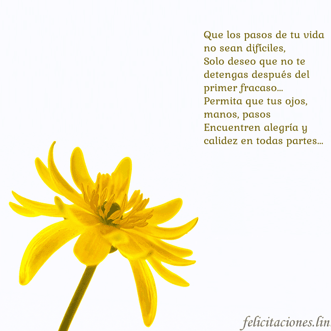 Tarjeta de cumpleaños con flor amarilla Que los pasos de tu vida no sean difíciles,
Solo d Tarjeta de cumpleaños con flor amarilla