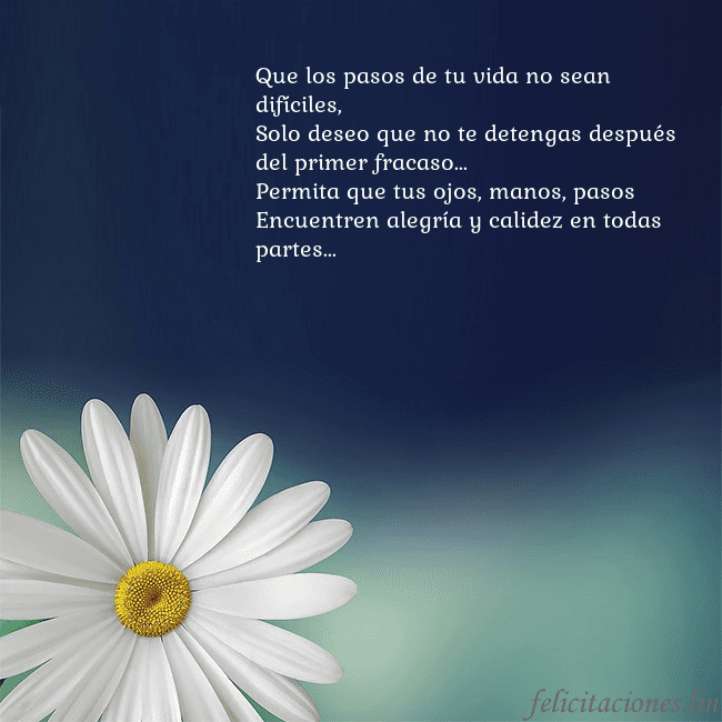 Postal con una gran margarita Que los pasos de tu vida no sean difíciles,
Solo d Postal con una gran margarita