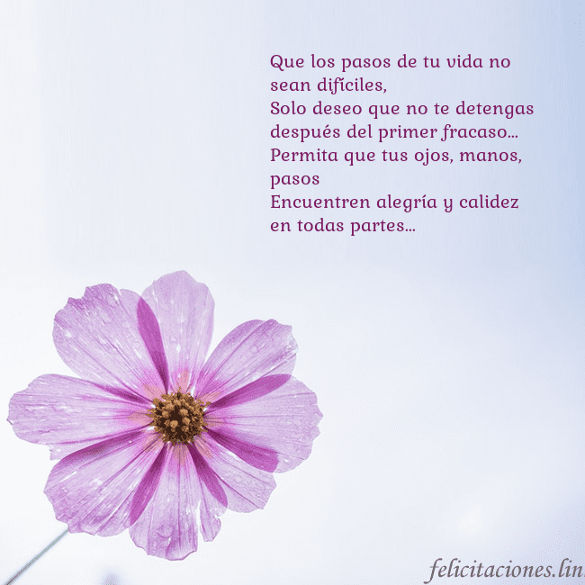 Tarjeta electrónica con flor morada Que los pasos de tu vida no sean difíciles,
Solo d Tarjeta electrónica con flor morada