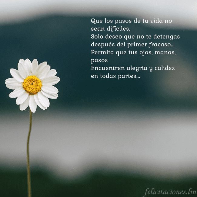 Tarjeta electrónica con margarita Que los pasos de tu vida no sean difíciles,
Solo d Tarjeta electrónica con margarita