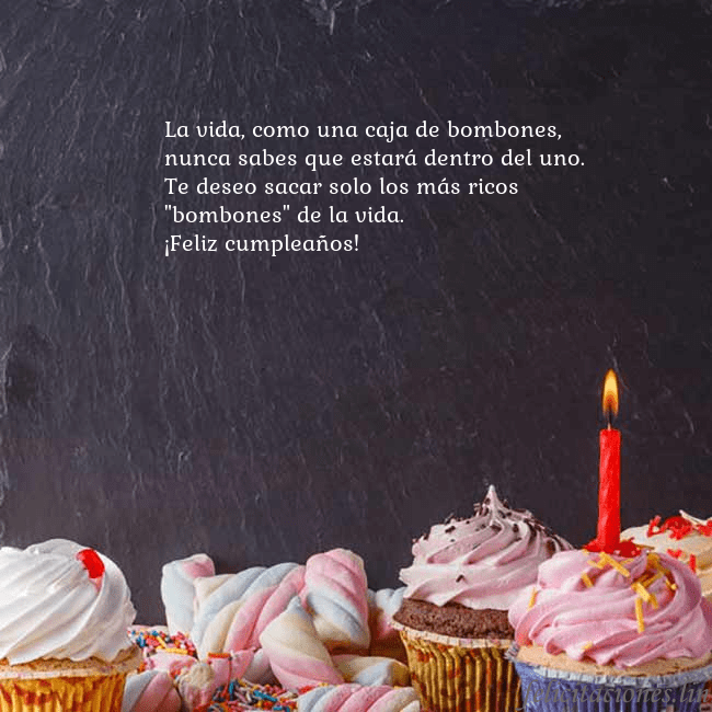 Tarjeta con muchos cupcakes y una vela La vida, como una caja de bombones, nunca sabes qu Tarjeta con muchos cupcakes y una vela