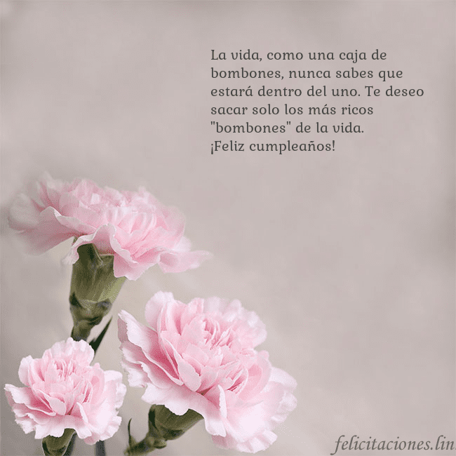 Tarjeta de cumpleaños con claveles rosas La vida, como una caja de bombones, nunca sabes qu Tarjeta de cumpleaños con claveles rosas