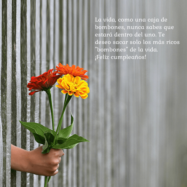 Tarjeta electrónica con ramo de flores La vida, como una caja de bombones, nunca sabes qu Tarjeta electrónica con ramo de flores