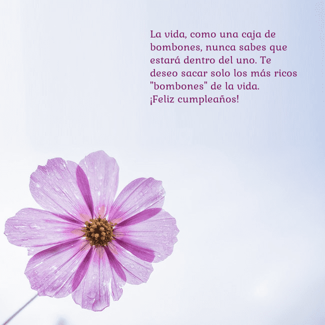 Tarjeta electrónica con flor morada