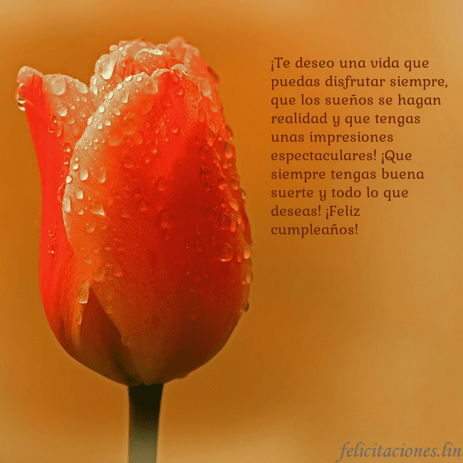 Tarjeta de cumpleaños con tulipán rojo ¡Te deseo una vida que puedas disfrutar siempre, q Tarjeta de cumpleaños con tulipán rojo