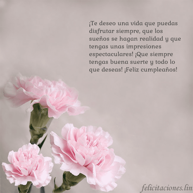 Tarjeta de cumpleaños con claveles rosas ¡Te deseo una vida que puedas disfrutar siempre, q Tarjeta de cumpleaños con claveles rosas