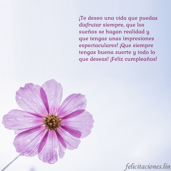 Tarjeta electrónica con flor morada ¡Te deseo una vida que puedas disfrutar siempre, q Tarjeta electrónica con flor morada