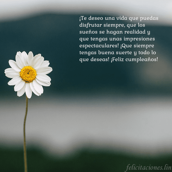 Tarjeta electrónica con margarita ¡Te deseo una vida que puedas disfrutar siempre, q Tarjeta electrónica con margarita