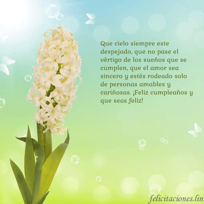 Tarjeta con jacinto Que cielo siempre este despejado, que no pase el v Tarjeta con jacinto