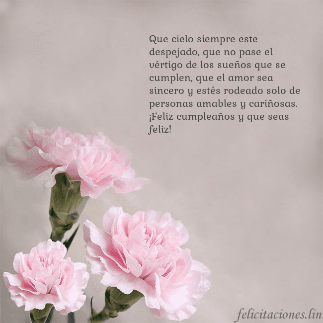 Tarjeta de cumpleaños con claveles rosas Que cielo siempre este despejado, que no pase el v Tarjeta de cumpleaños con claveles rosas