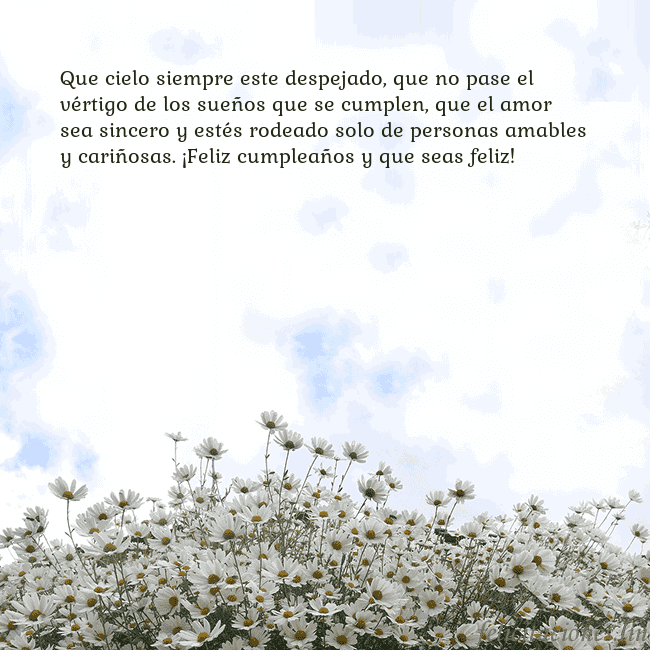 Tarjeta de cumpleaños con margaritas Que cielo siempre este despejado, que no pase el v Tarjeta de cumpleaños con margaritas