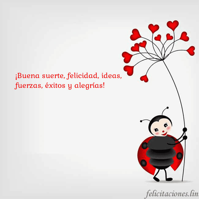 Tarjeta con mariquita