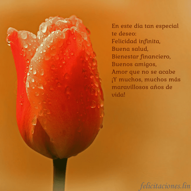 Tarjeta de cumpleaños con tulipán rojo En este día tan especial te deseo:
Felicidad infin Tarjeta de cumpleaños con tulipán rojo