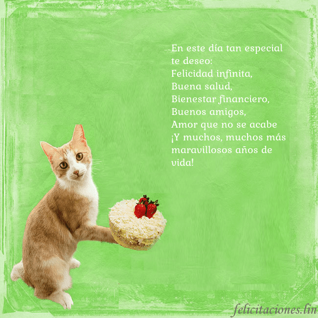 Tarjeta de cumpleaños con gato y pastel de cumpleaños En este día tan especial te deseo:
Felicidad infin Tarjeta de cumpleaños con gato y pastel de cumpleaños