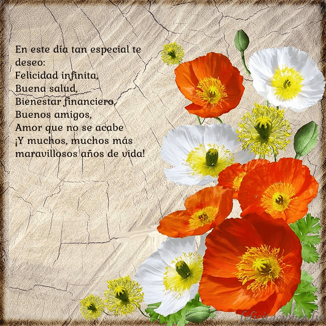 Tarjeta de cumpleaños con amapolas En este día tan especial te deseo:
Felicidad infin Tarjeta de cumpleaños con amapolas